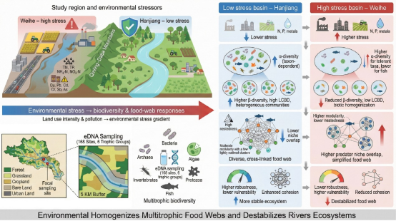 李明教授团队在河流水生态环境过程研究领域取得阶段性进展