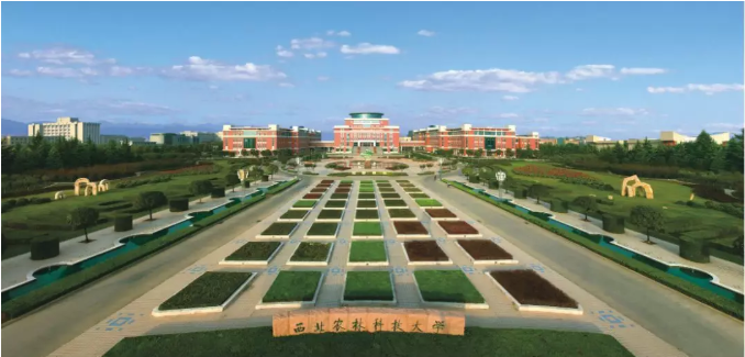 QQ图片20200824111623.png