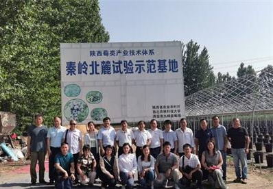 eaf72fcfe54b49749ab37930dd92c340.jpg 39153dc7dd3b44a08479f126c2d2bc80_看图王_看图王.jpg